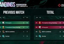 Survival Tournament: Triumphant Song Gaming é campeã